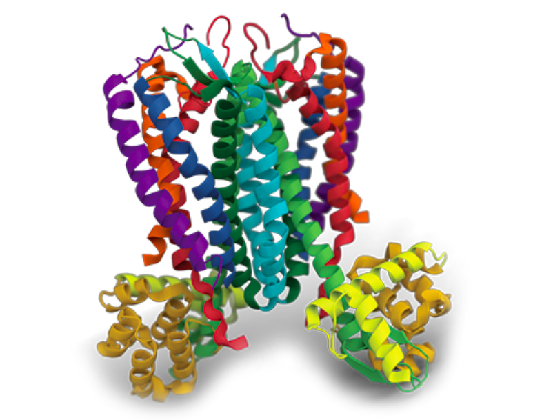 Cell-free systems are only relevant for membrane proteins