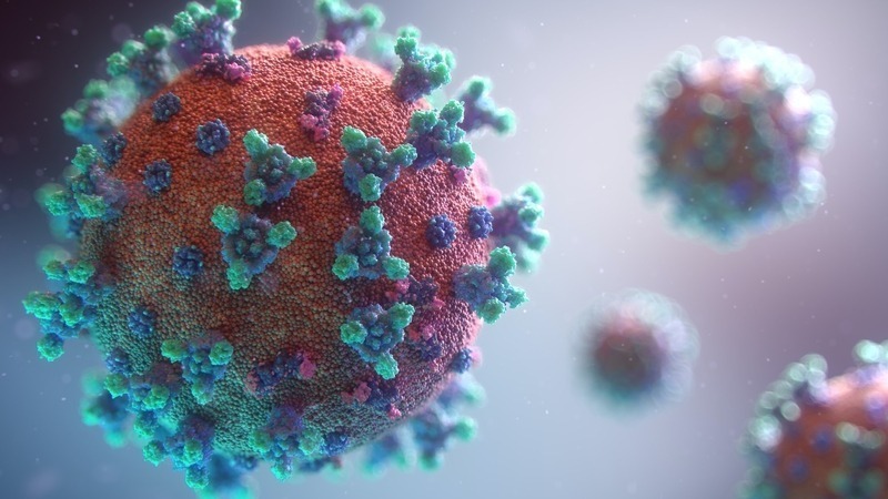 S-protein receptor SARS-CoV-2